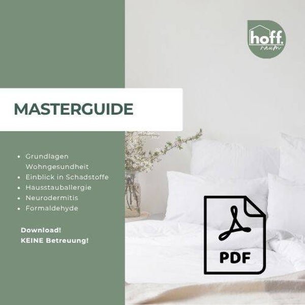 TEXT UNFERTIG! MASTER GUIDE (PDF) - Wohn- und Schlafumfeld Analyse-System