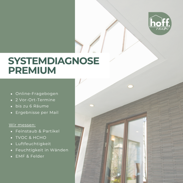 SYSTEMDIAGNOSE PREMIUM