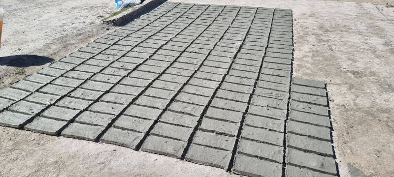 20260415_111210-standard.jpg