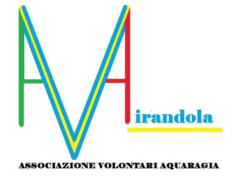 new-logo-ava-standard-4qzvpm.jpg