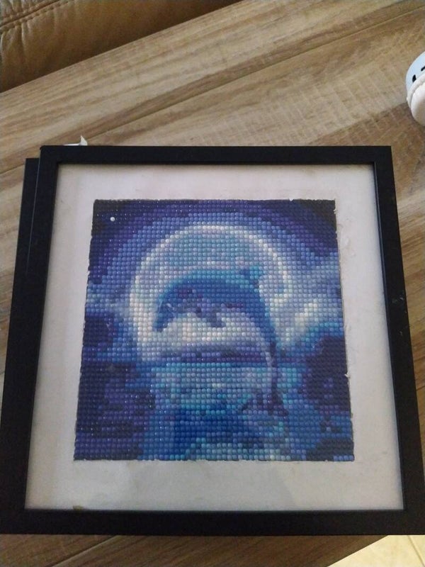 diamond painting dolfijn in kader