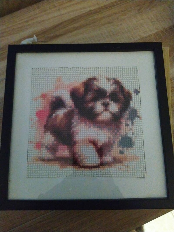 diamond painting tshi tshu