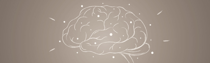 Het bewuste en het onbewuste brein