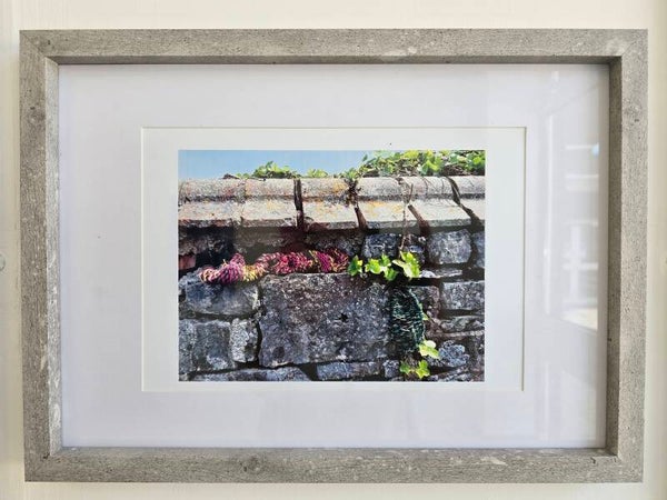 Photo 'Westward woven' 3