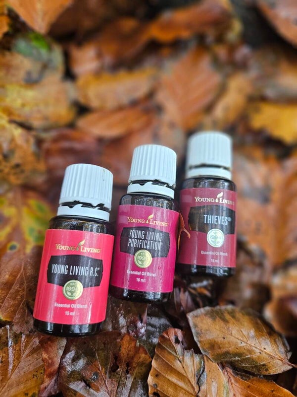 seizoensondersteuning herfst/winter