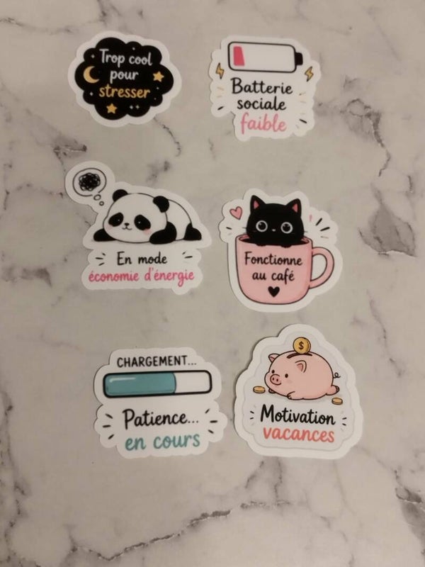 Stickers Humour & Quotidien – Lot de 6 autocollants