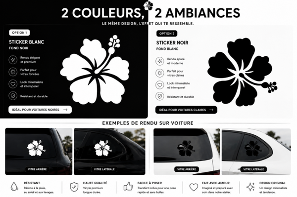 Stickers voiture minimalistes