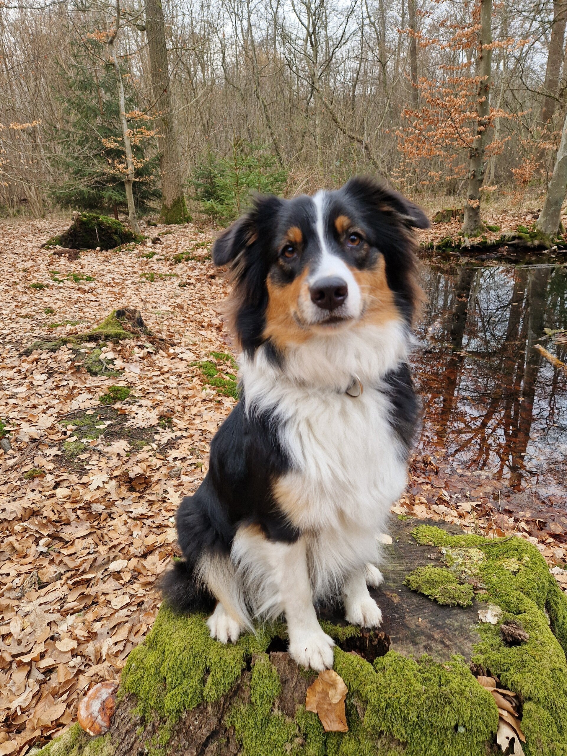 Portait