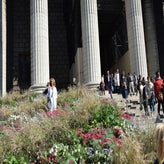 DSC_1013.jpg