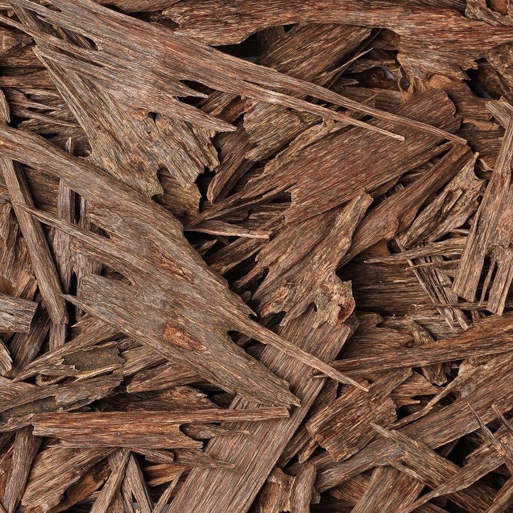 Indian Oud Wood 10 g  خشب العود الهندي