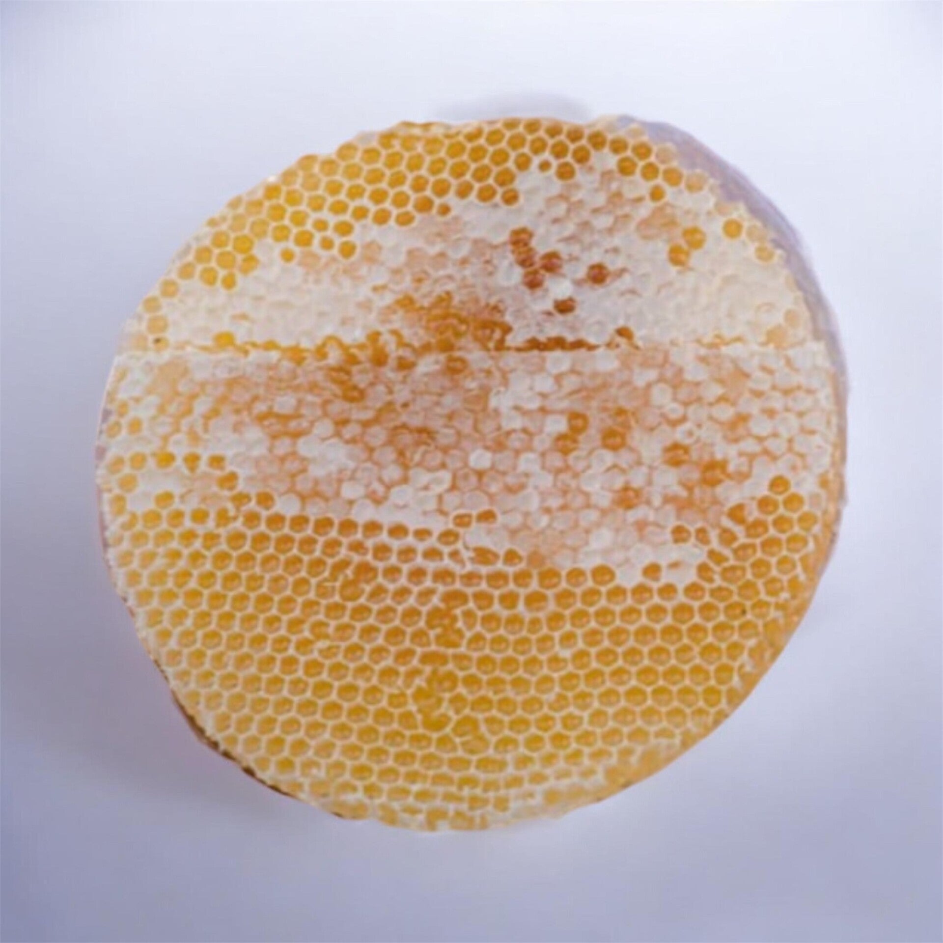 Beeswax Doani Sidr Honey