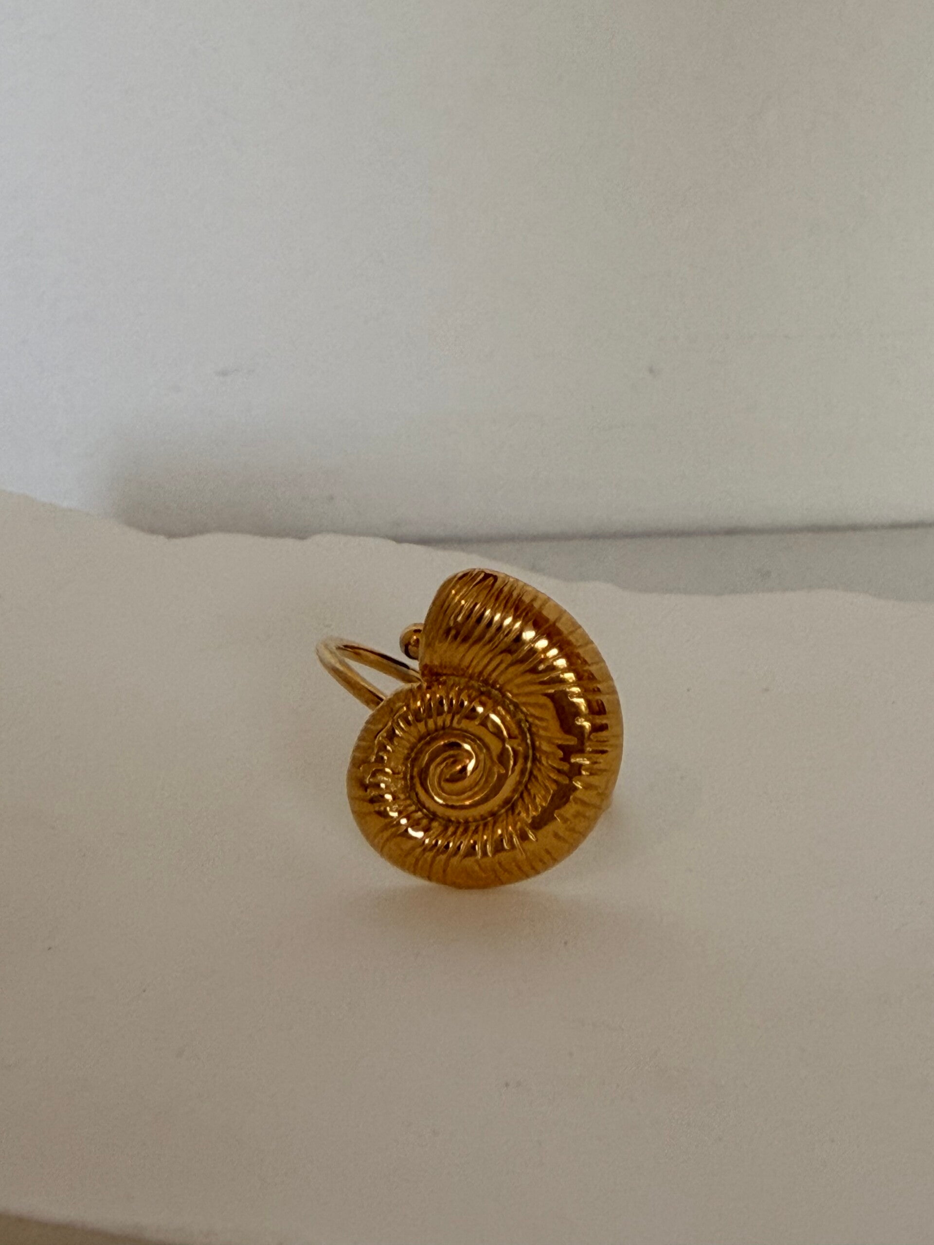 Bague coquiléa