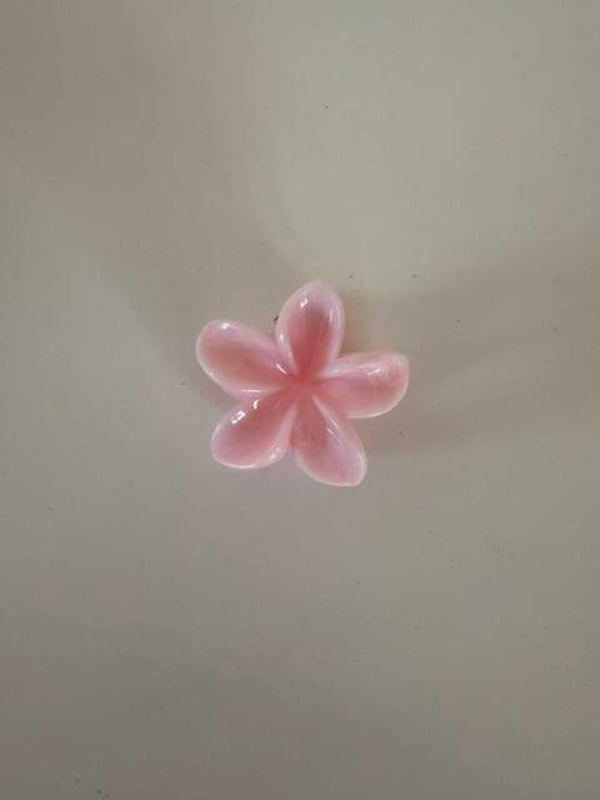 Pince à cheveux