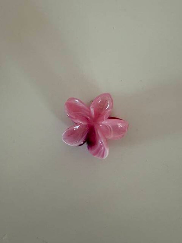 Pince à cheveux