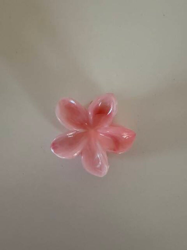 Pince à cheveux