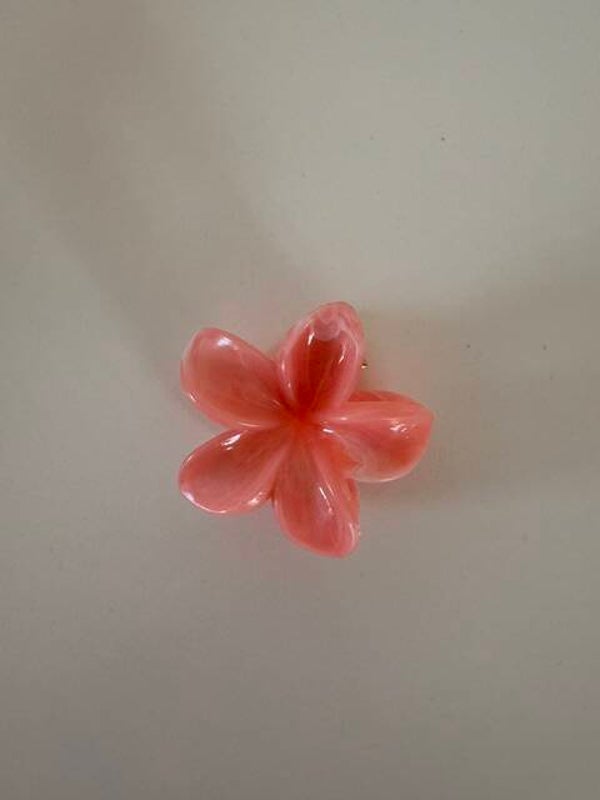 Pince à cheveux