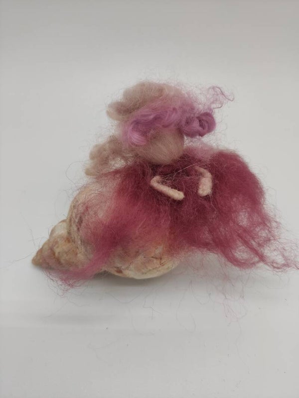 Muschelchen, Wildrose