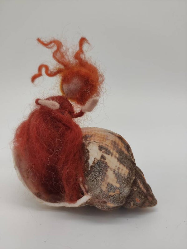 Muschelchen Herbstfeuer