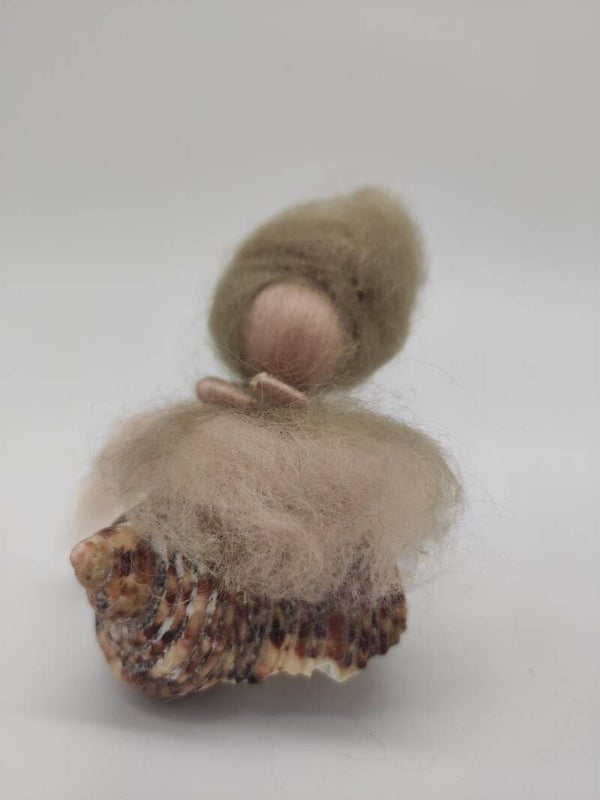 Muschelchen Moosi