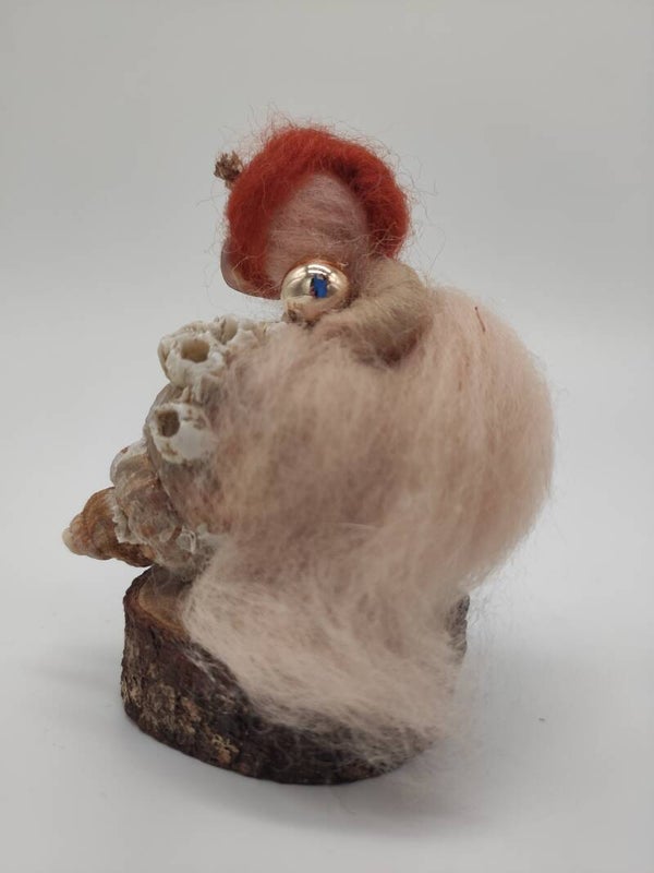 Muschelchen Perlenschatz