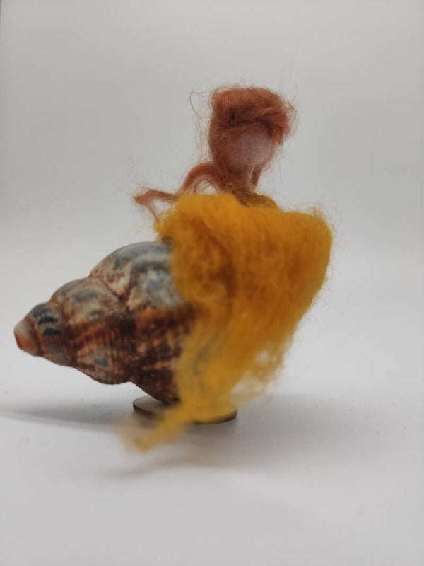 Muschelchen Abenrot