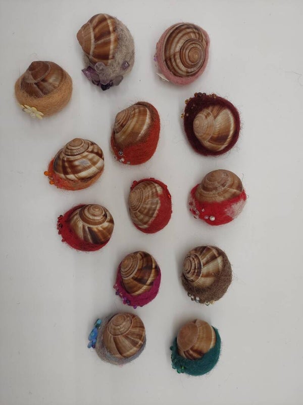 Noch mehr Schnecken