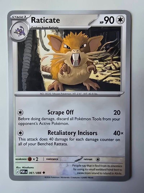 RATICATE (PERFECT ORDER 061/088) (TRADING CARD)