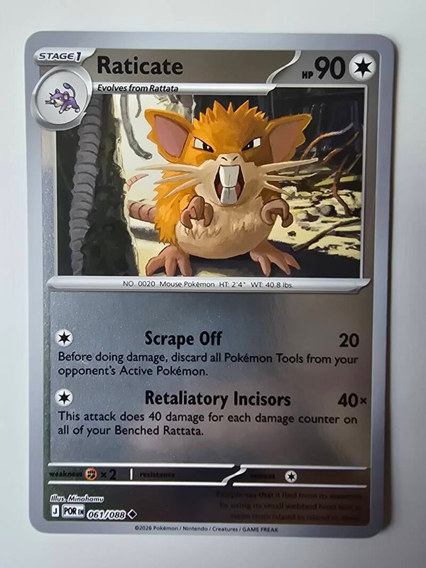 RATICATE (PERFECT ORDER 061/088) (REVERSE HOLO) (TRADING CARD)