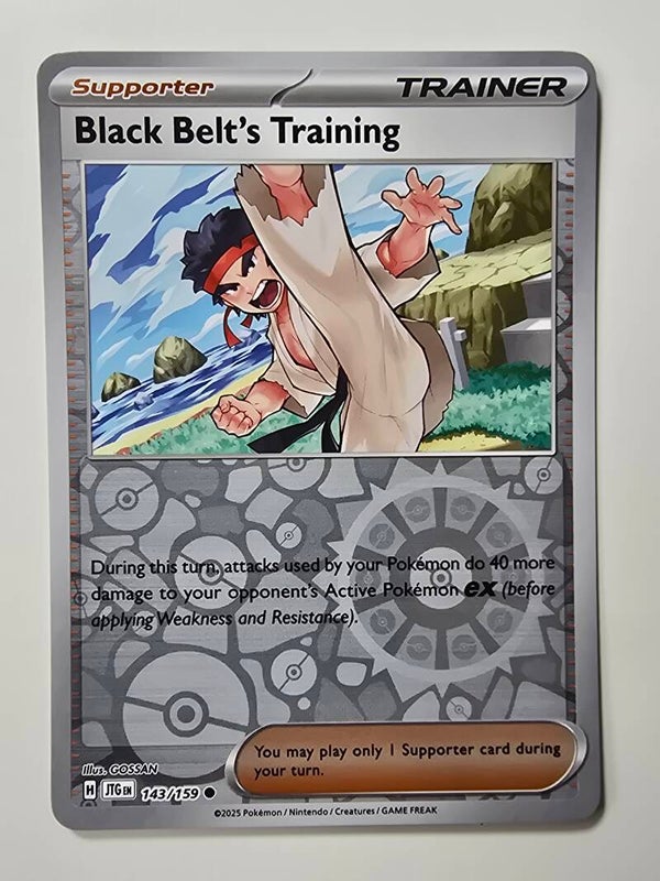 BLACK BELT'S TRAINING (JOURNEY TOGETHER 143/159) (REVERSE HOLO) (TRADING CARD)