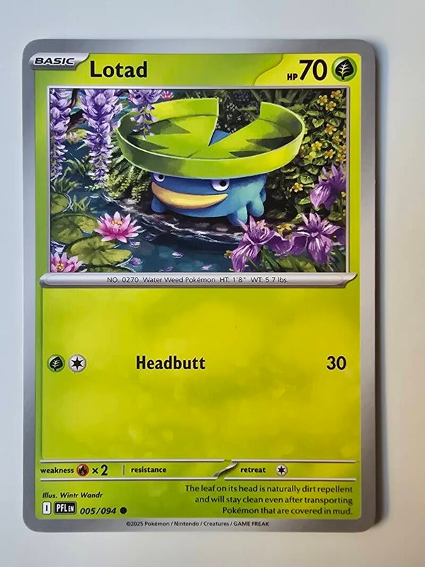 LOTAD (PHANTASMAL FLAMES 005/094) (POKÉMON) (TRADING CARD)