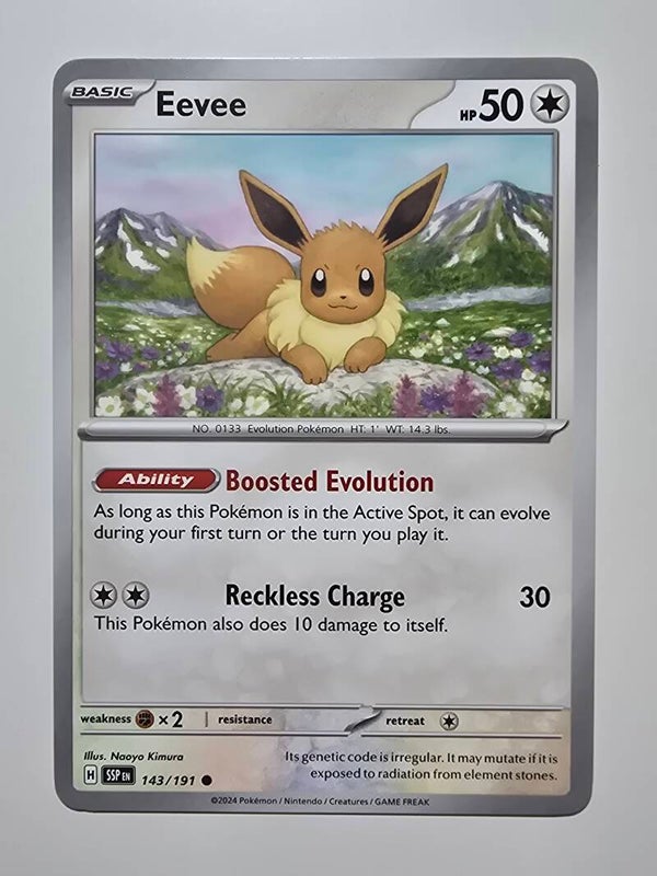 EEVEE (SURGING SPARKS 143/191) (TRADING CARD)