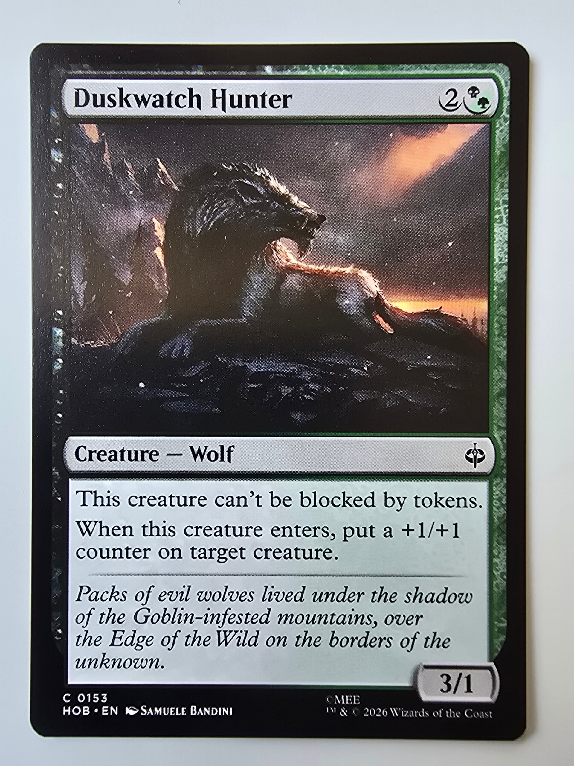 DUSKWATCH HUNTER (HOB) (C 0153) (MTG) (TRADING CARD)