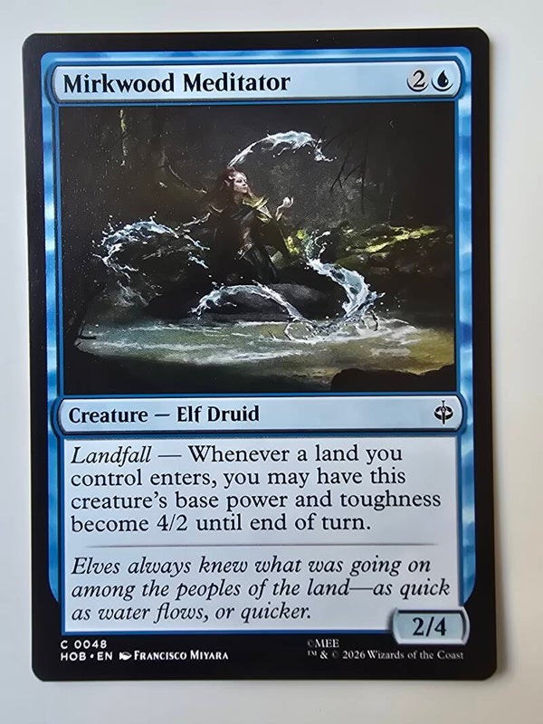 MIRKWOOD MEDITATOR (HOB) (C 0048) (MTG) (TRADING CARD)