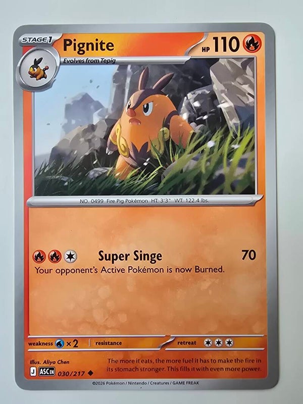 PIGNITE (ASCENDED HEROES 030/217) (POKÉMON) (TRADING CARD)