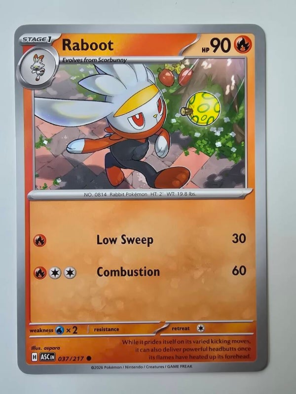 RABOOT (ASCENDED HEROES 037/217) (POKÉMON) (TRADING CARD)