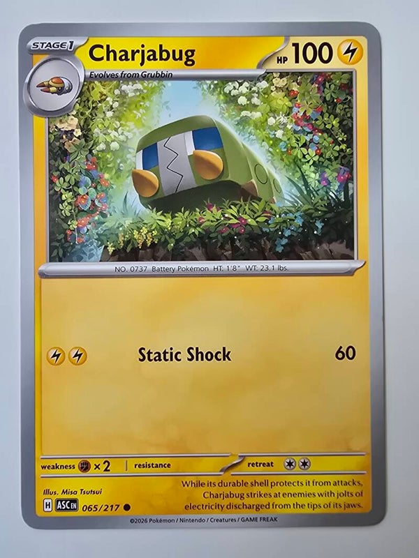 CHARJABUG (ASCENDED HEROES 065/217) (POKÉMON) (TRADING CARD)
