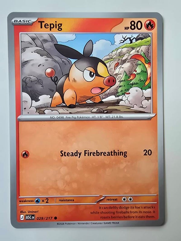 TEPIG (ASCENDED HEROES 029/217) (POKÉMON) (TRADING CARD)