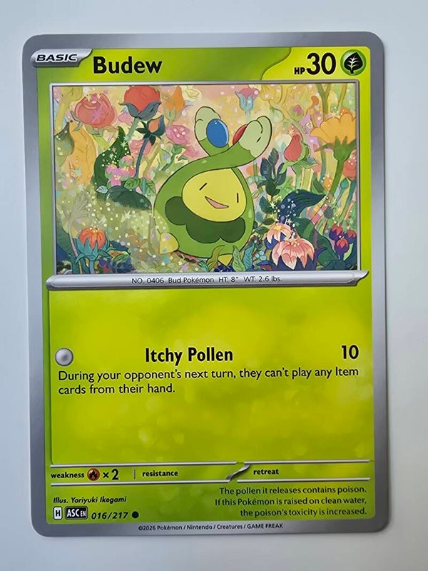 BUDEW (ASCENDED HEROES 016/217) (POKÉMON) (TRADING CARD)