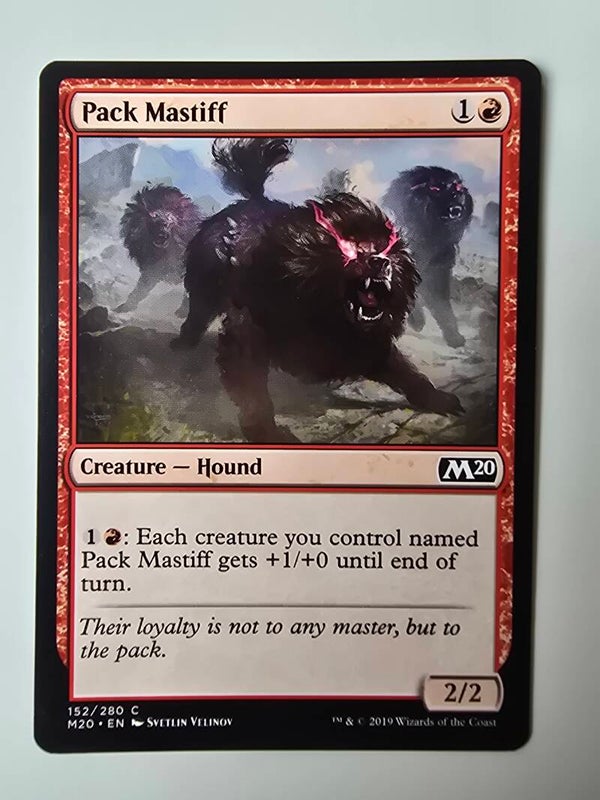 PACK MASTIFF (M20) (152/280 C) (MTG) (TRADING CARD)