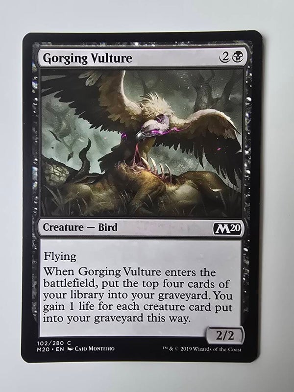 GORGING VULTURE (M20) (102/280 C) (MTG) (TRADING CARD)