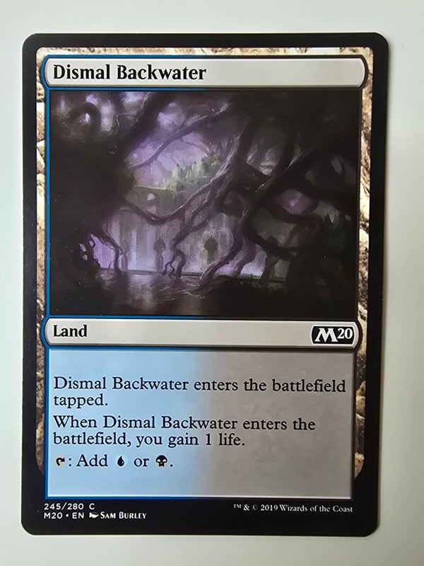 DISMAL BACKWATER (M20) (245/280 C) (MTG) (TRADING CARD)