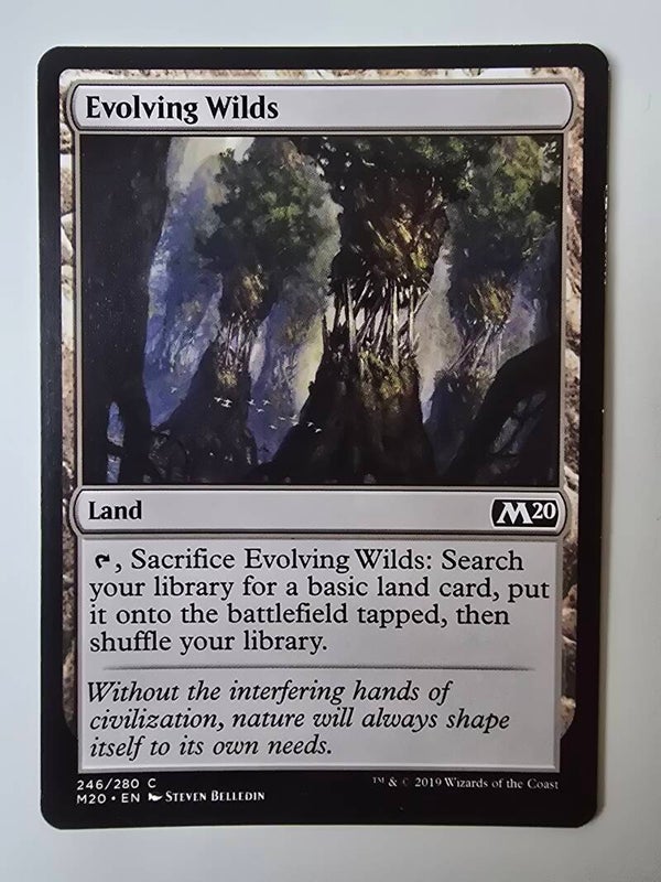 EVOLVING WILDS (M20) (246/280 C) (MTG) (TRADING CARD)