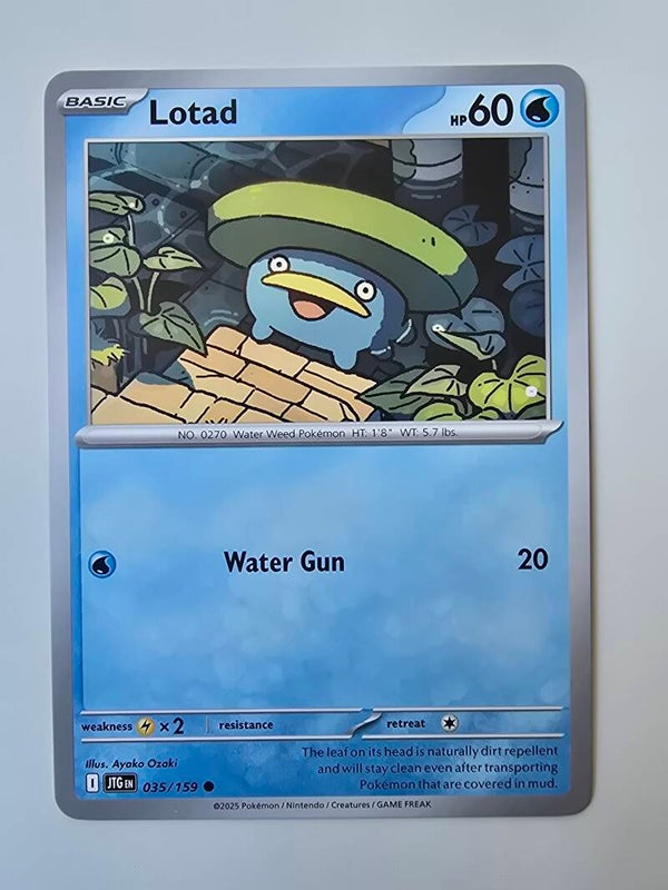 LOTAD (JOURNEY TOGETHER 035/159) (POKÉMON) (TRADING CARD)
