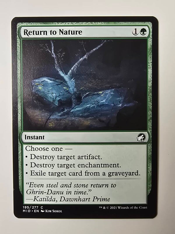 RETURN TO NATURE (MID) (195/277 C) (MTG) (TRADING CARD)