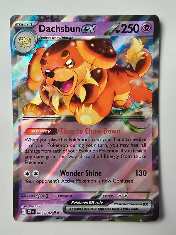 DACHSBUN EX (STELLAR CROWN 067/142) (POKÉMON) (TRADING CARD)