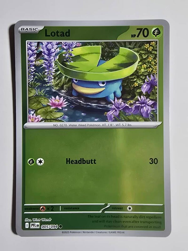 LOTAD (PHANTASMAL FLAMES 005/094) (REVERSE HOLO) (POKÉMON) (TRADING CARD)