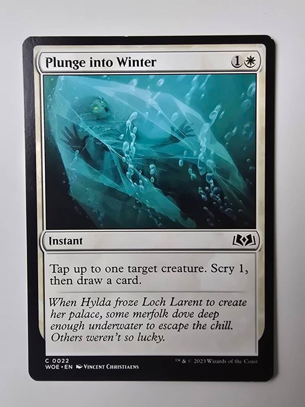 PLUNGE INTO WINTER (WOE) (C 0022) (LIGHTLY PLAYED) (MTG) (TRADING CARD)