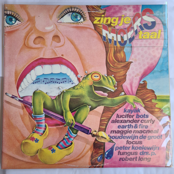 ZING JE MOERSTAAL (VINYL)
