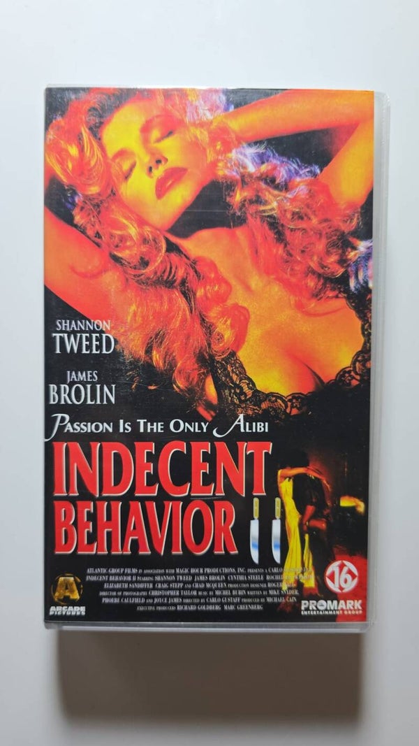 INDECENT BEHAVIOR 2 (VHS)