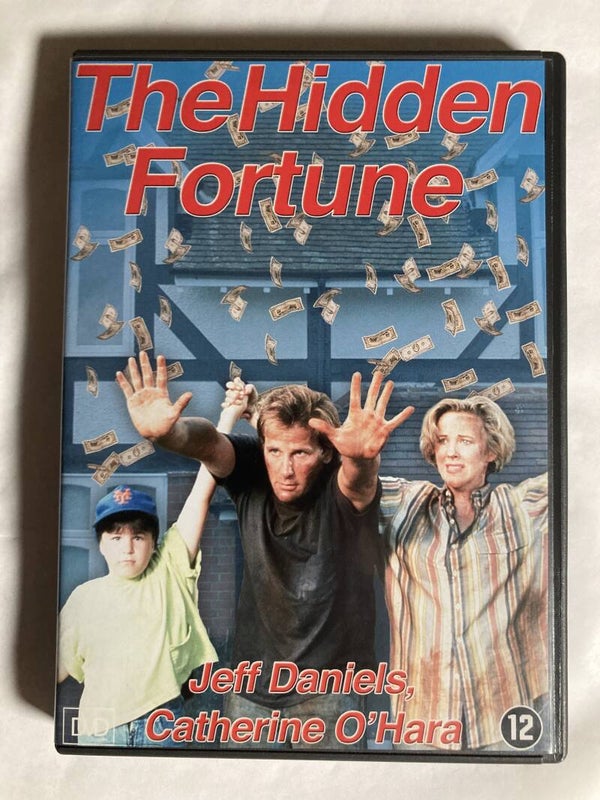 THE HIDDEN FORTUNE (DVD)